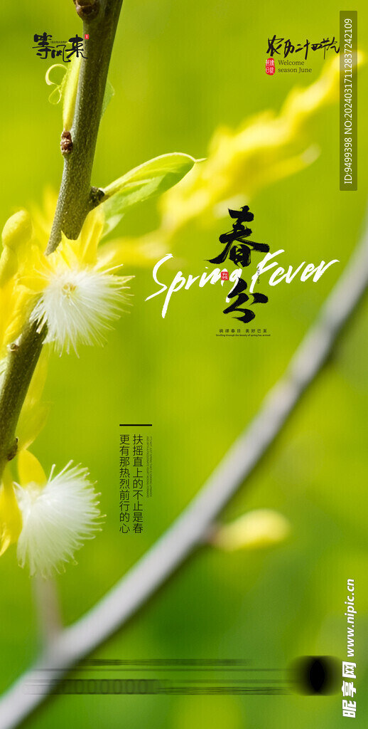 医美地产春分海报