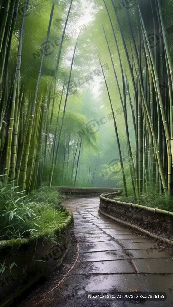 林间小路 竹林 浓雾
