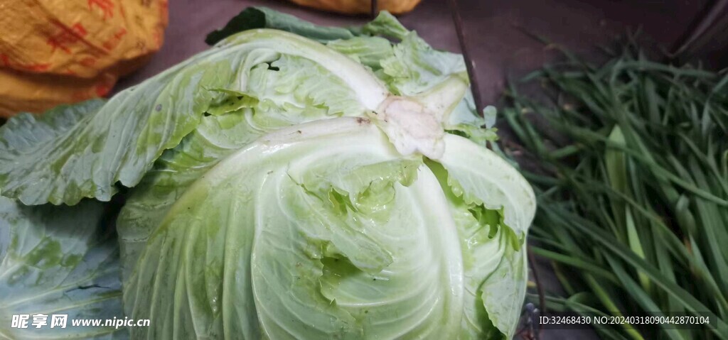 包菜
