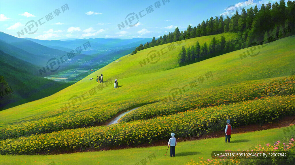 茶树 山丘 茶山 晨光 山林