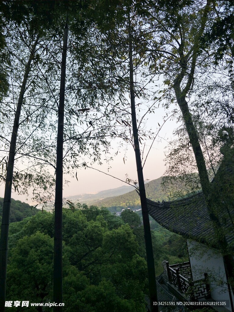 山景