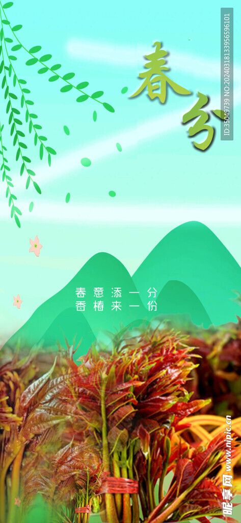 春分香椿