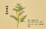 药材图谱           