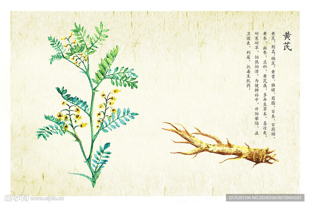 药材图谱           