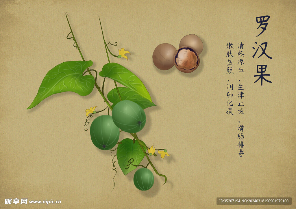 药材图谱           
