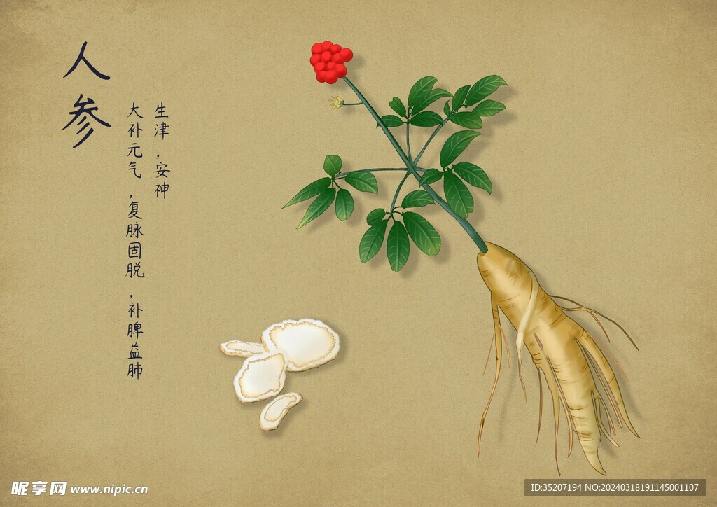 药材图谱           