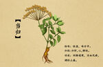 药材图谱           