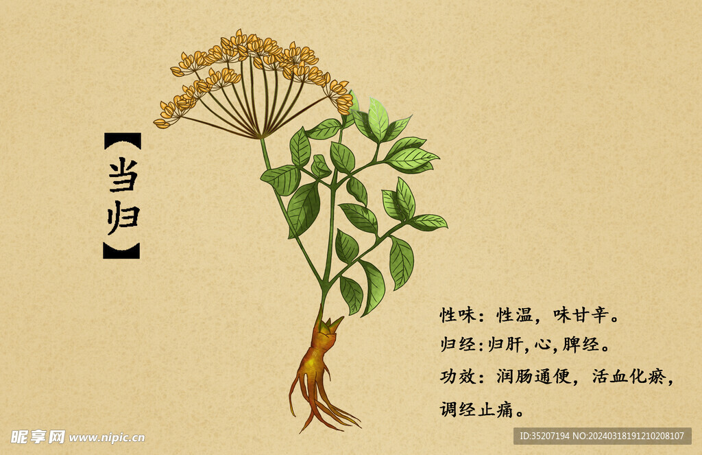 药材图谱           