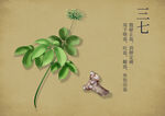 药材图谱           