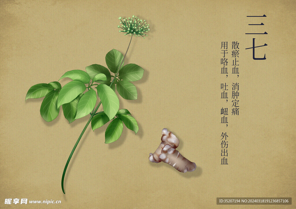 药材图谱           