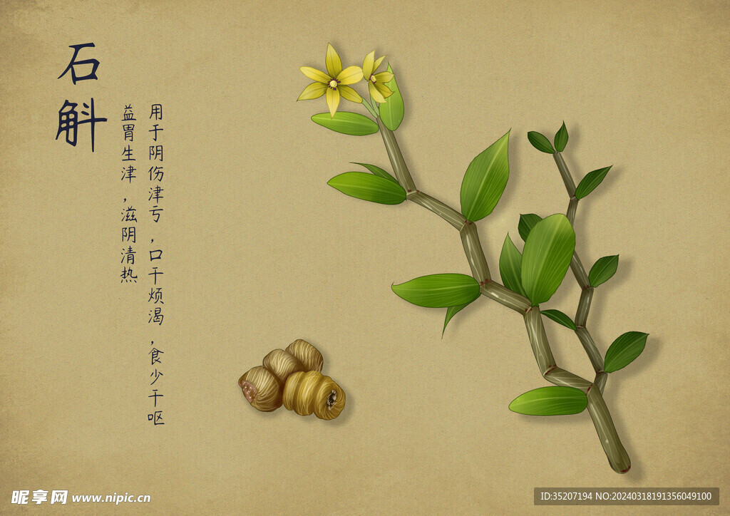 药材图谱           