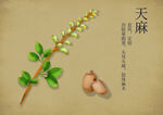药材图谱           