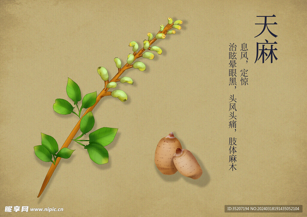 药材图谱           