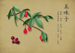 药材图谱           