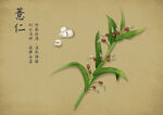 药材图谱           