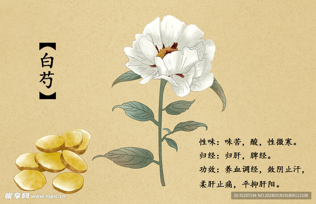 药材图谱           