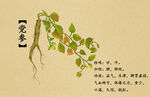 药材图谱           