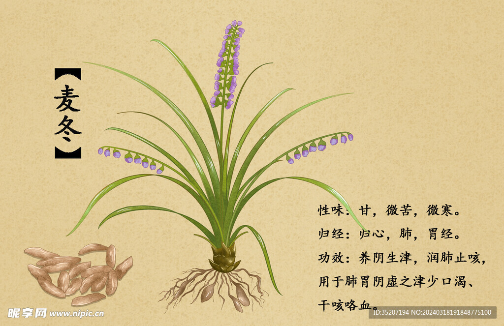 药材图谱           