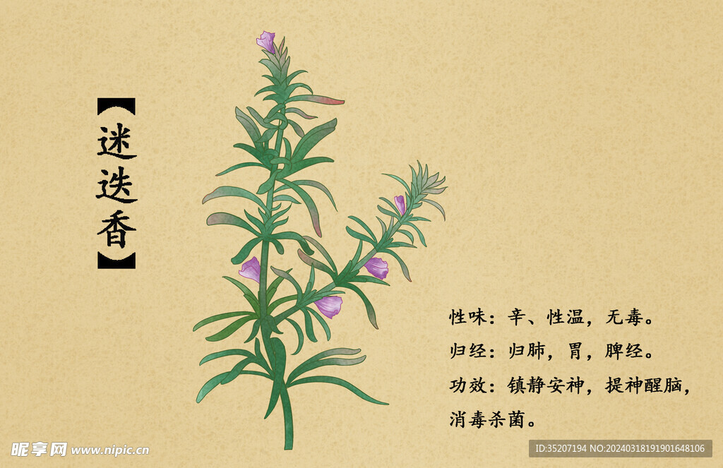 药材图谱           