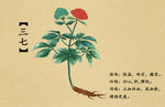 药材图谱           