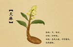药材图谱           