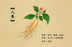 药材图谱           