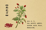 药材图谱           