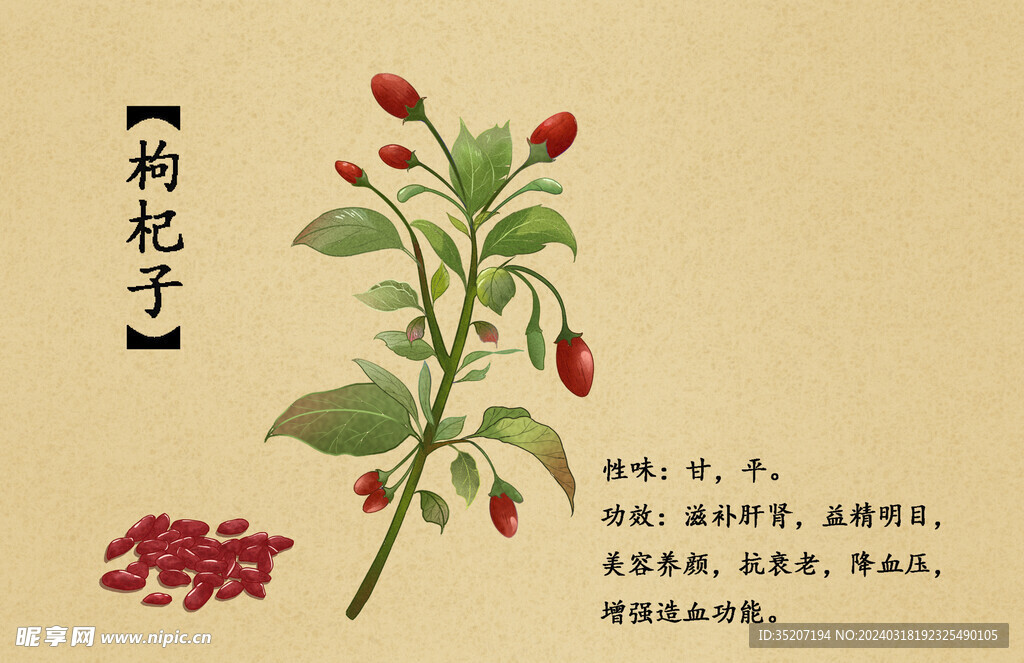 药材图谱           