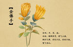 药材图谱           