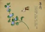 药材图谱           