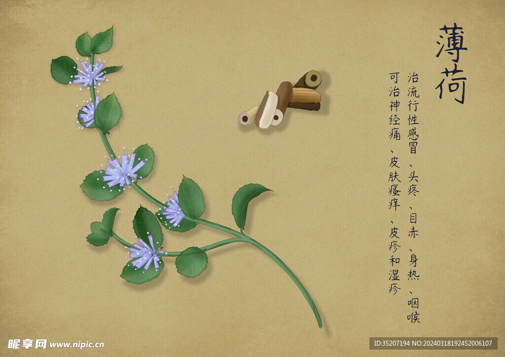 药材图谱           