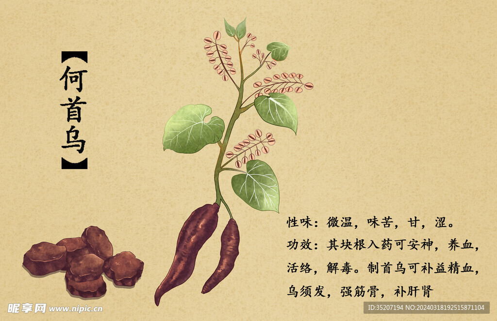 药材图谱           