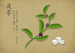 药材图谱           