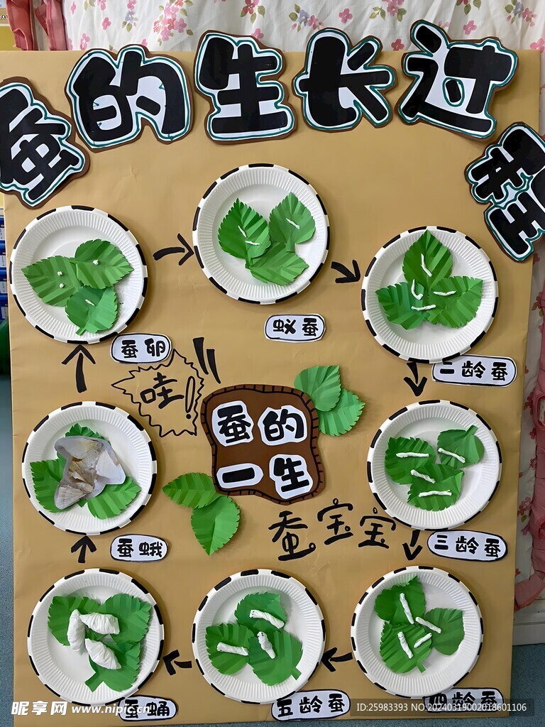 养蚕演示板