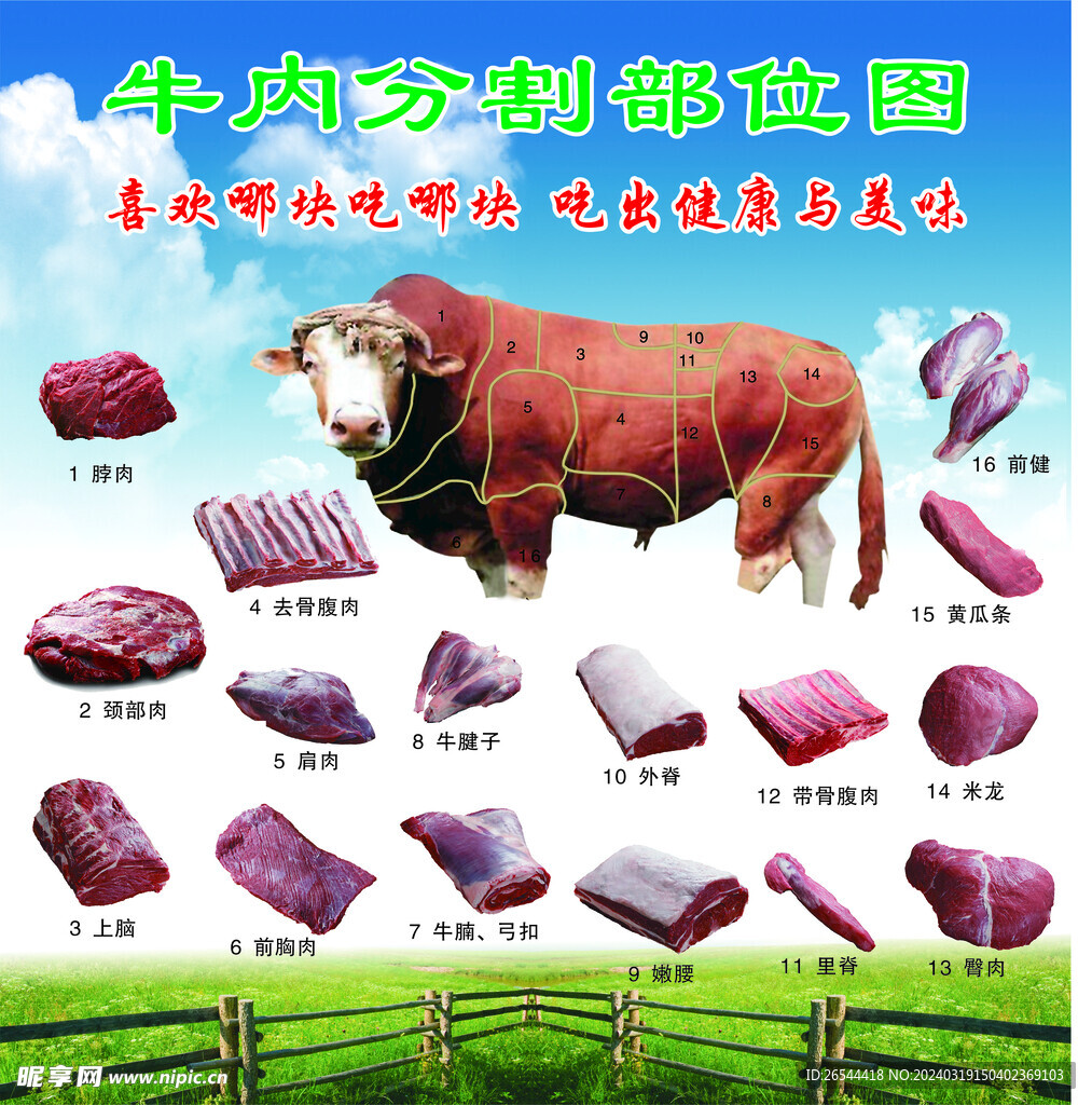 牛肉分割部位图