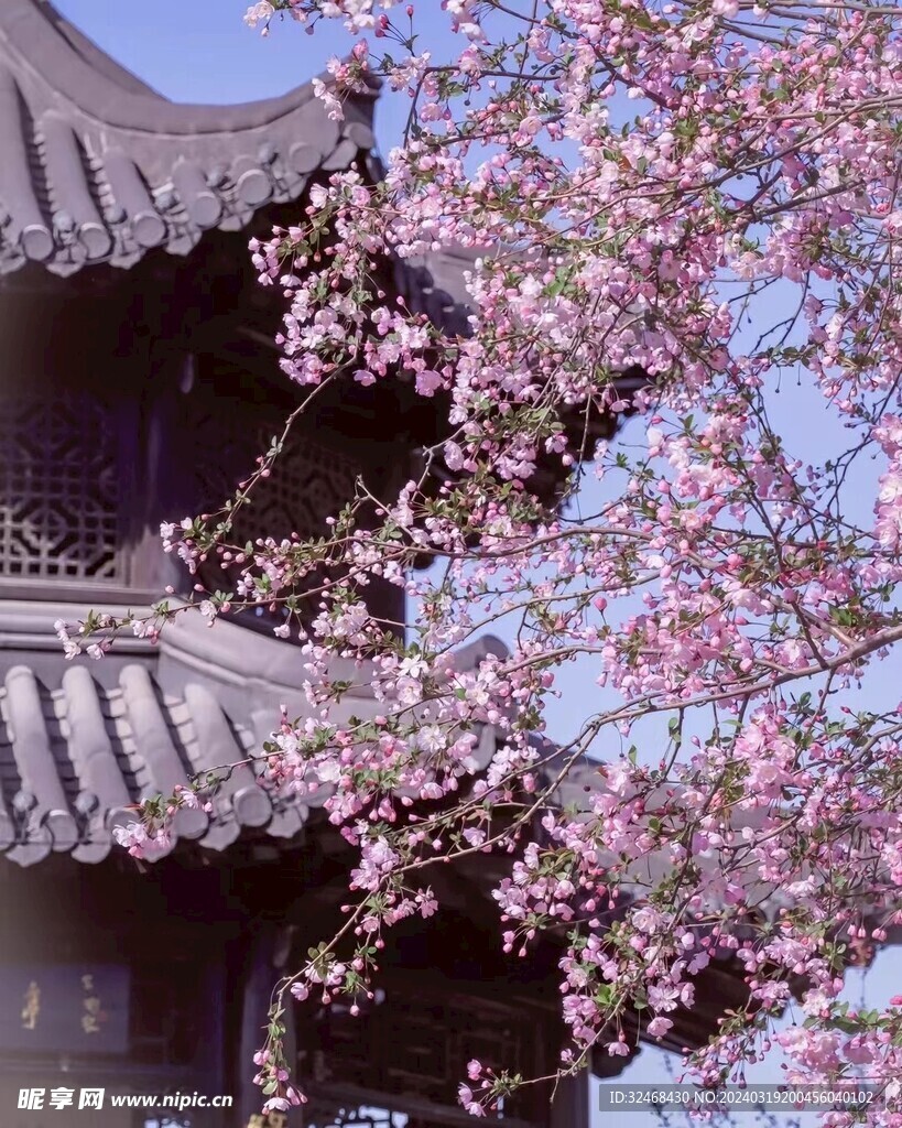 建筑下桃花