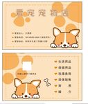 宠物名片
