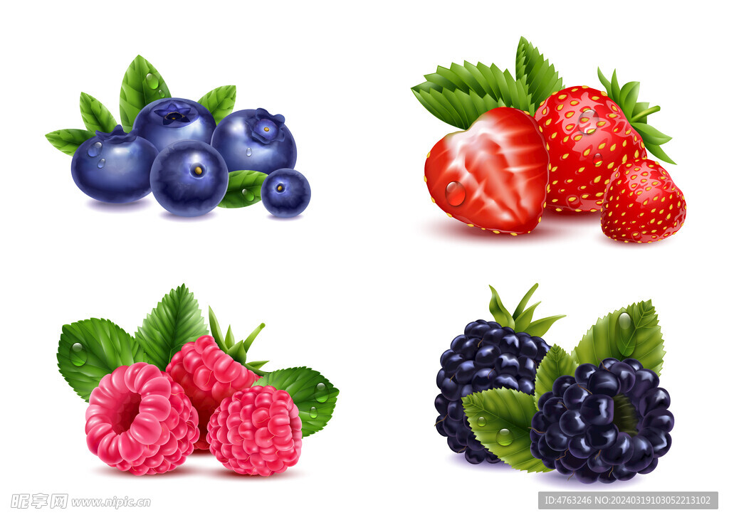 水果草莓蓝莓矢量