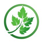 香菜 logo