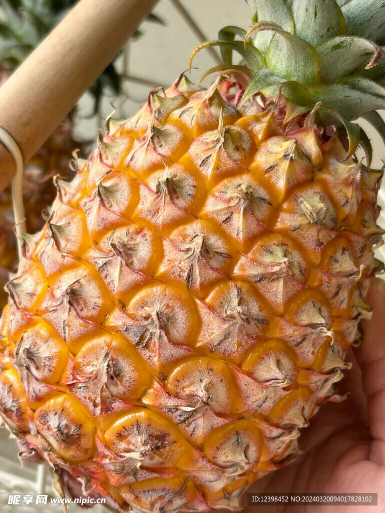 菠萝