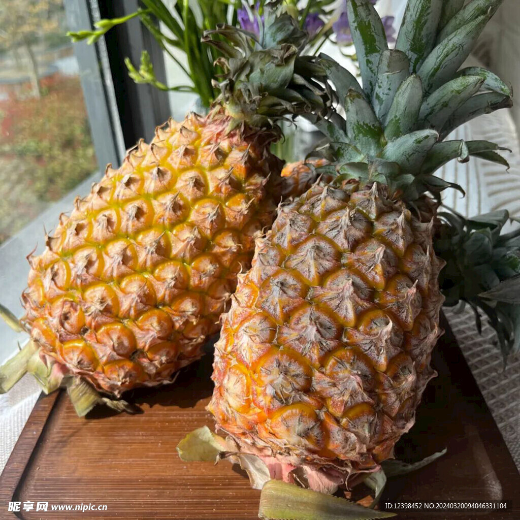 菠萝