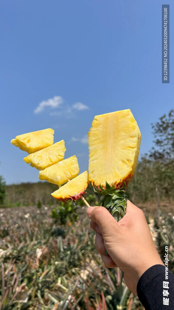 菠萝