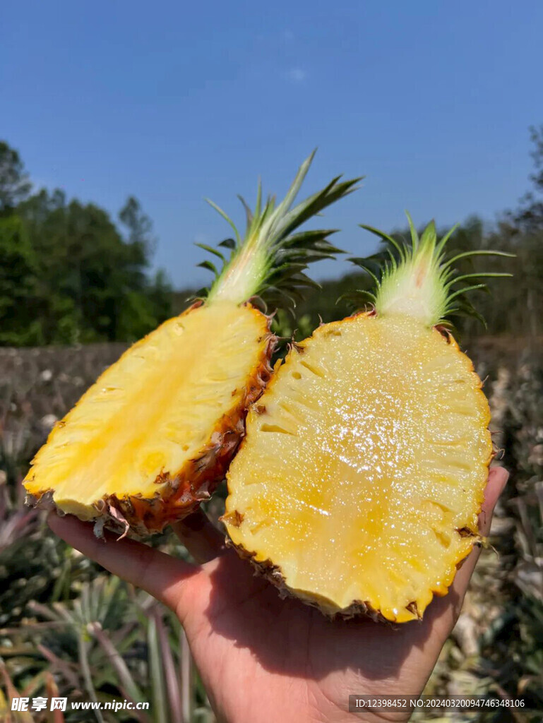 菠萝