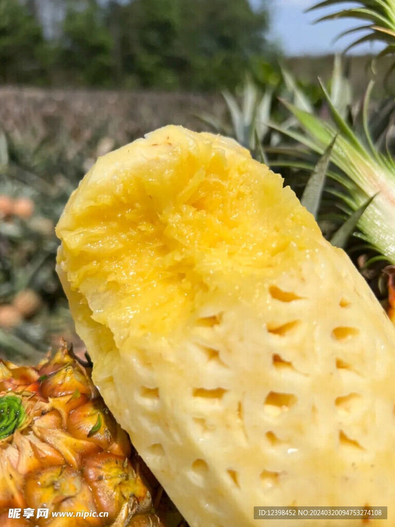 菠萝