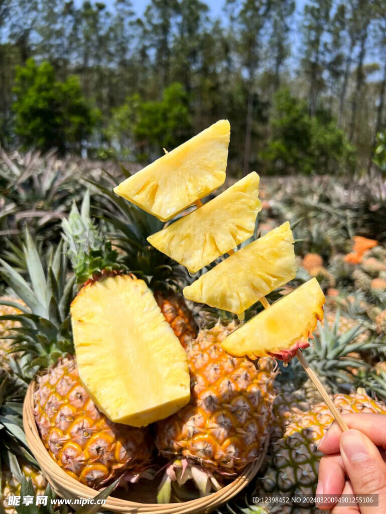 菠萝