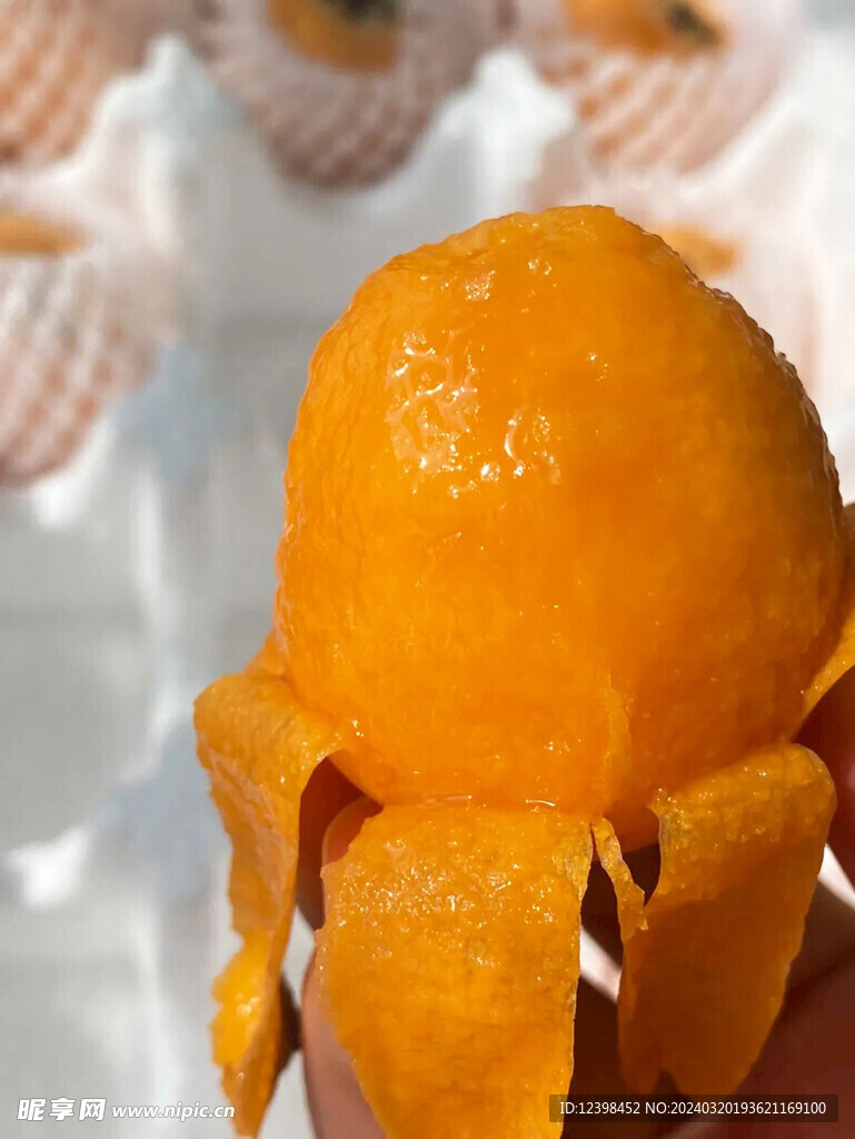 枇杷