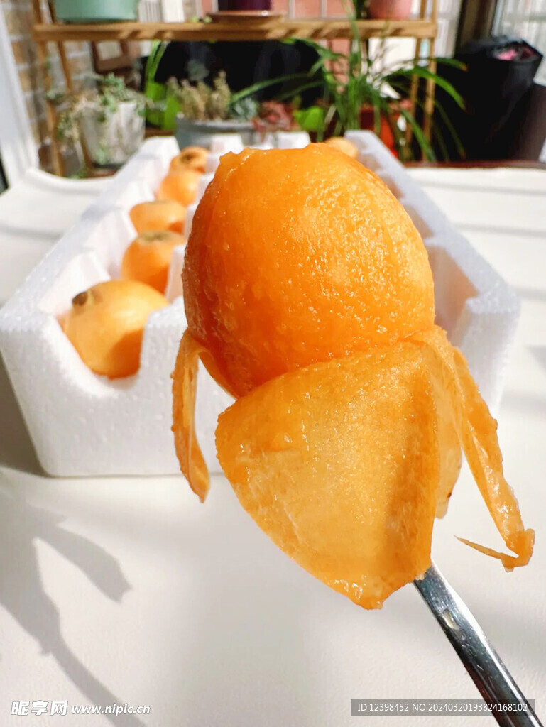枇杷