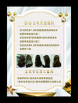 美发价格表  会员海报  发型