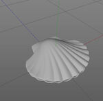 C4D模型 贝壳