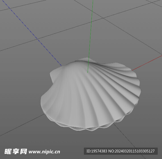 C4D模型 贝壳